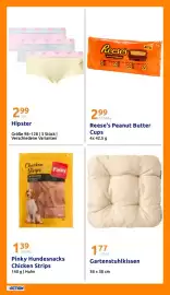 Action Flugblatt woche 15 Seite 19