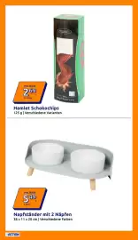 Action Flugblatt woche 15 Seite 21