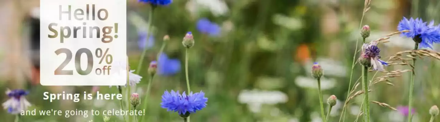 Crocus (valid until 21-04)