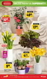 Polomarket gazetka tydzień 15 Strona 12