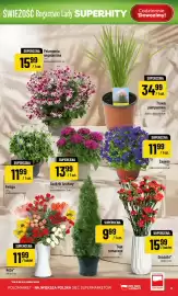 Polomarket gazetka tydzień 15 Strona 13