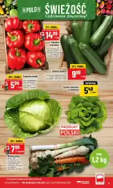 Polomarket gazetka tydzień 15 Strona 15