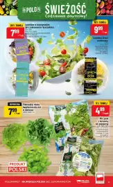 Polomarket gazetka tydzień 15 Strona 17