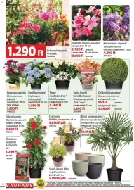 Bauhaus akciós újság Oldal 2