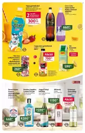 EcoFamily akciós újság Oldal 5