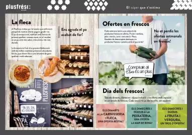 Folleto Plusfresc Página 7