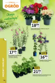 Auchan gazetka Strona 12