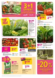 Catalogue Delbard page 2