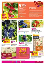 Catalogue Delbard page 3