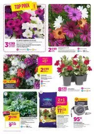 Catalogue Delbard page 4