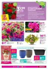 Catalogue Delbard page 5