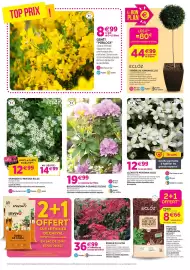 Catalogue Delbard page 6