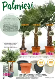 Magazine Hornbach Pagină 2