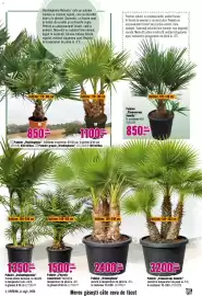 Magazine Hornbach Pagină 3