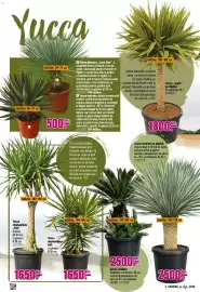 Magazine Hornbach Pagină 4