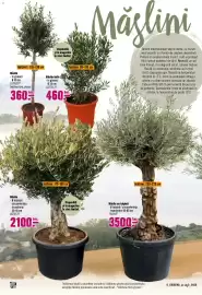 Magazine Hornbach Pagină 6