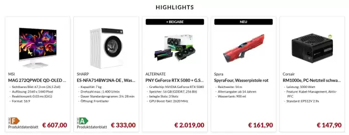 Alternate Flugblatt Seite 1