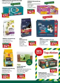 Lagerhaus Flugblatt Seite 11