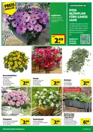 Hagebau Flugblatt Seite 2