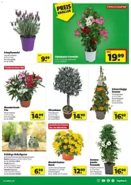 Hagebau Flugblatt Seite 3