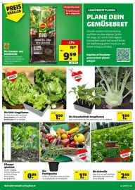 Hagebau Flugblatt Seite 4