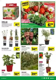 Hagebau Flugblatt Seite 5