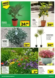 Hagebau Flugblatt Seite 6