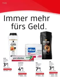 Dm Flugblatt Seite 20