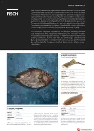 Transgourmet Flugblatt Seite 49