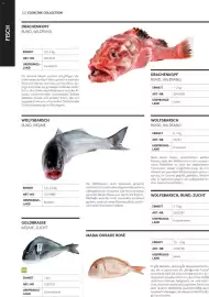 Transgourmet Flugblatt Seite 52