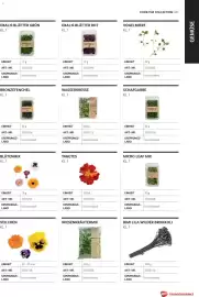 Transgourmet Flugblatt Seite 87