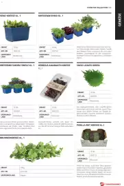 Transgourmet Flugblatt Seite 89