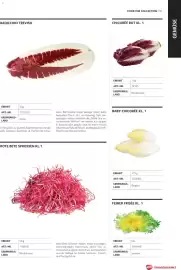 Transgourmet Flugblatt Seite 91