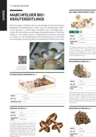 Transgourmet Flugblatt Seite 92