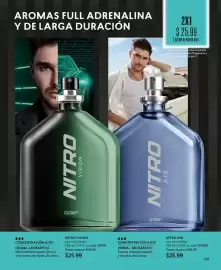 Catálogo Cyzone Página 101