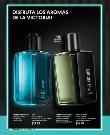 Catálogo Cyzone Página 104