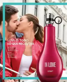 Catálogo Cyzone Página 60