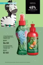 Catálogo AVON Página 100