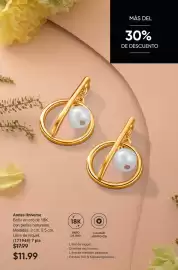 Catálogo AVON Página 45