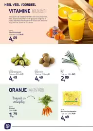 Van Hoeckel folder Pagina 2