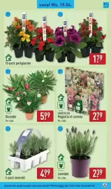 ALDI folder week 16 Pagina 41