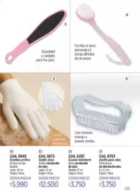 Catálogo Amodil Página 137