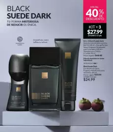 Catálogo AVON Página 100