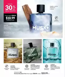 Catálogo AVON Página 101