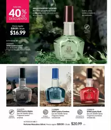 Catálogo AVON Página 105