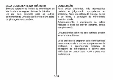 Catálogo Suzuki Motos Página 20