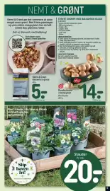 REMA 1000 tilbudsavis uge 16 Side 15