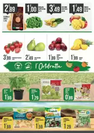 Volantino Supermercato Pollio Pagina 5