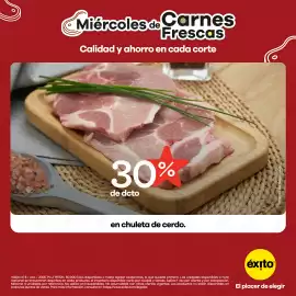 Catálogo Éxito Página 3