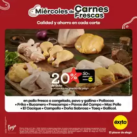 Catálogo Éxito Página 4